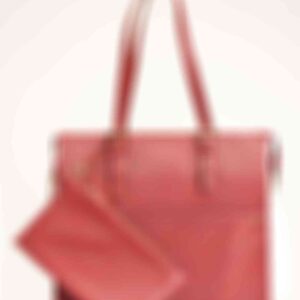 Red Handbag